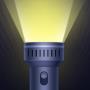 Flashlight Proicon