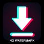 Download video no watermarkicon