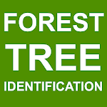 Forest Tree Identification icon