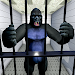 Gorilla Smash City Escape Jail icon