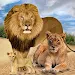 Jungle Kings Kingdom Lion icon