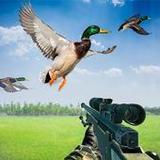 Duck Hunting with Gun APK