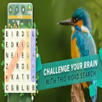 Word Search Nature Puzzle Game icon