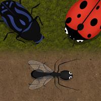 Ant Evolution Simulator : Planet of the tasty bugs icon