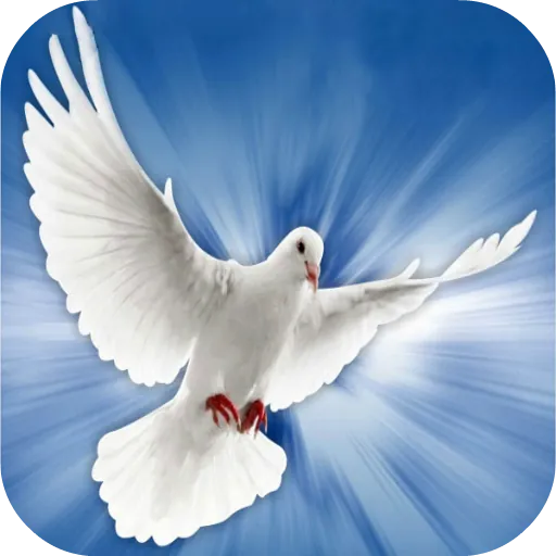 Espiritu Santo icon