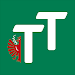 tt.com icon