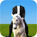 Horse With Man Photo Suit icon