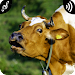 Cow Soundsicon