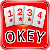 Okey game without internet APK