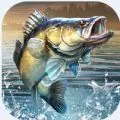 Master Fishing APK