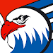 Adler Mannheim Fan Appicon