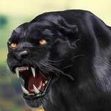 Black Panther Wild Animal Life APK