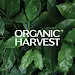 Organic Harvest- Beauty Shopicon