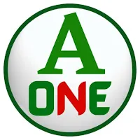 A ONE FAST NET VPN APK