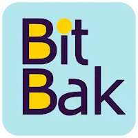BitBak VPN APK
