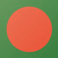 Bangla VPN : Stable Fast VPN APK
