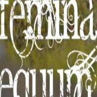 Femina Equum icon