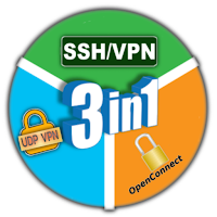 3in1 ViP VPN icon