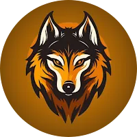 GORG VPN APK