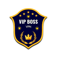 Vip Boss VPN icon