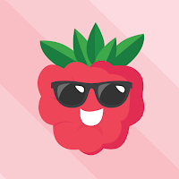 raspberry VPN icon