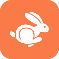 Rabbit VPN icon