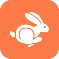 Rabbit VPN APK