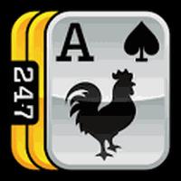 247 Solitaire + Freecell PRO icon