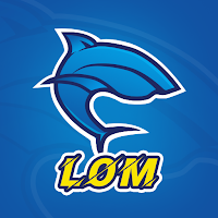 LomVPN icon