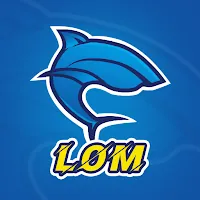 LomVPN APK
