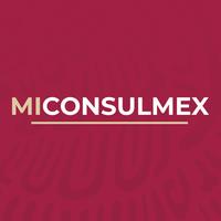 MiConsulmex icon