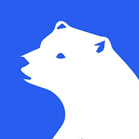 Polar VPN icon