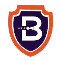 Borderless VPN - Ultimate secu APK