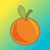 Orange VPN - Safer Internet icon