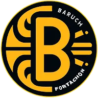 BARUCH VPN APK