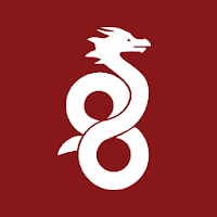 WireGuardicon