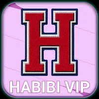 HABIBI VPN APK