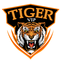 Tiger VIP VPN icon