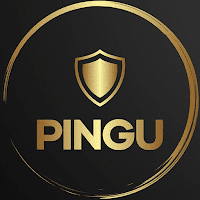 Pingu VPN: fast & easy icon