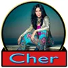 Cher - Believe ( Lyrics ) APK