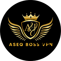 ASEQ BOSS VPNicon