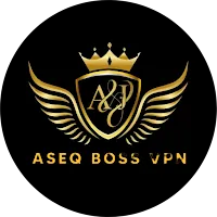 ASEQ BOSS VPN APK