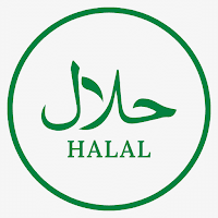 Halal - Internet Access VPN icon