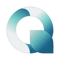 QM VPN APK