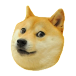 Doge 2048icon