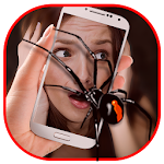 Spider On Body/Face Prank Camicon