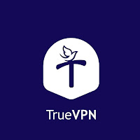 True VPN Secure VPN Connection icon