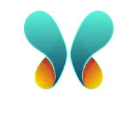 NORDFY VPN APK