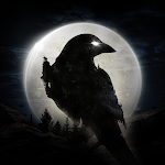 NIGHT CROWSicon