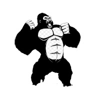 King Kong VPN Internet 4G 5G APK